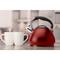 Kitchen Details 3.4L Stainless Steel Tea Kettle